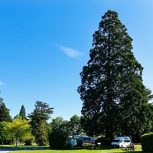Geraldine Top 10 Holiday Park